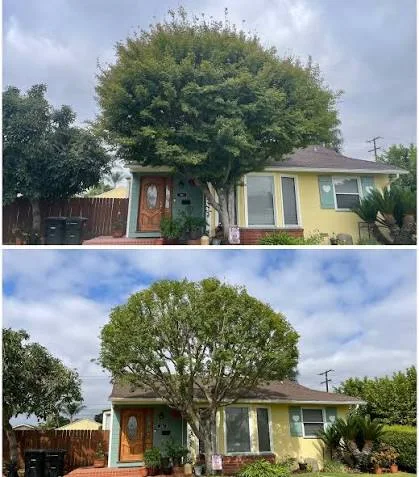 Before and After 1