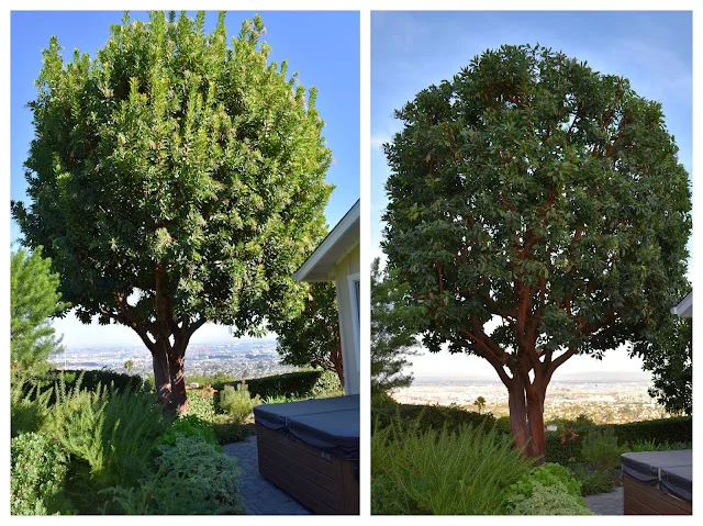 Before and After 3