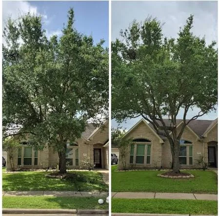 Before and After 2